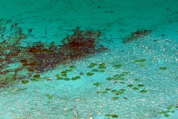 N 033B